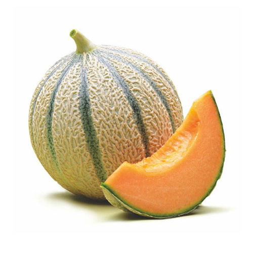 MELÓN CANTALOUPE